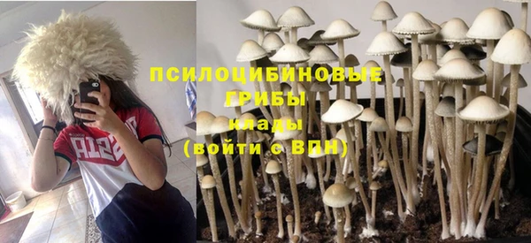 МДПВ Балахна