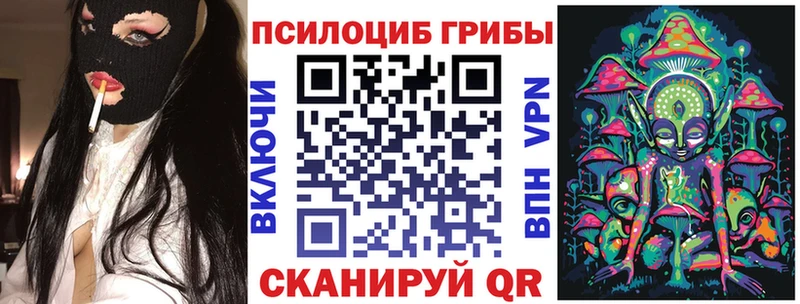 Галлюциногенные грибы Psilocybine cubensis  закладки  ссылка на мегу сайт  Кущёвская 
